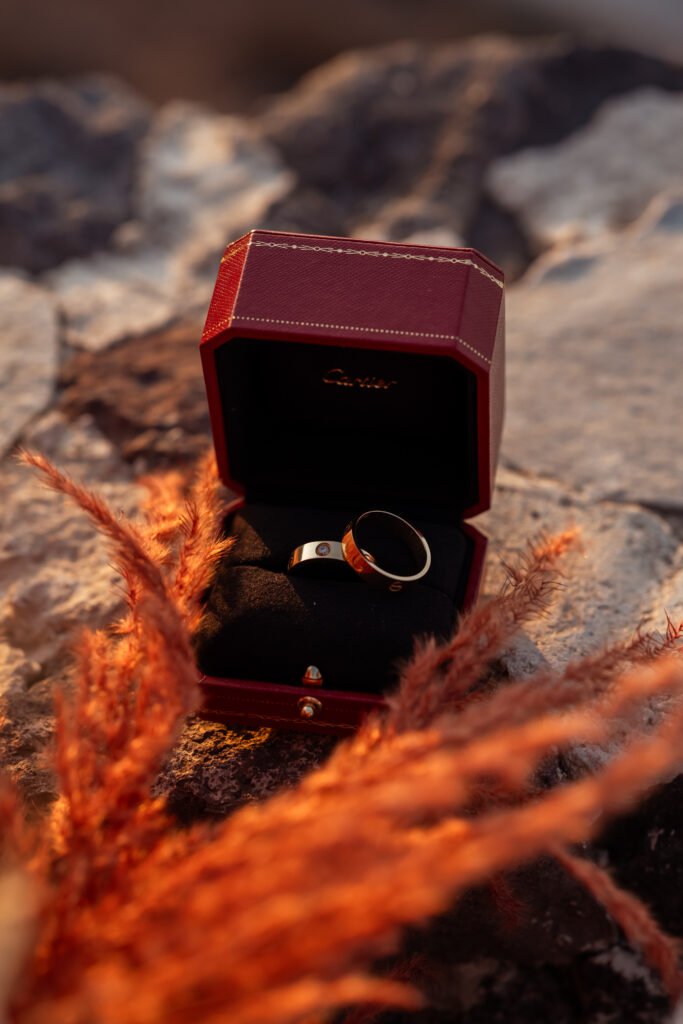 wedding proposal photographer.